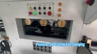 JIGUO TMY-800H Αυτόματο μηχάνημα κοπής & σφράγισης με μήτρα